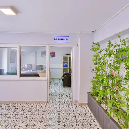 Palmada 萨卡里亚