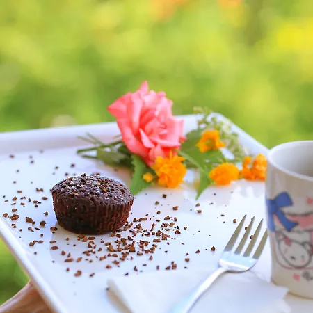 Oda ve Kahvaltı Palmada