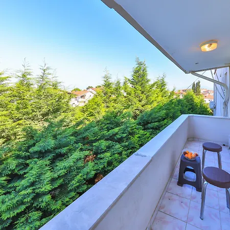 Oda ve Kahvaltı Palmada Sakarya (Marmara)