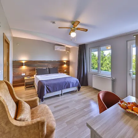 Oda ve Kahvaltı Palmada Sakarya (Marmara)