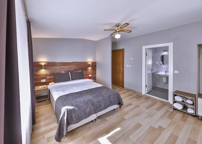 Palmada 3* ساكاريا