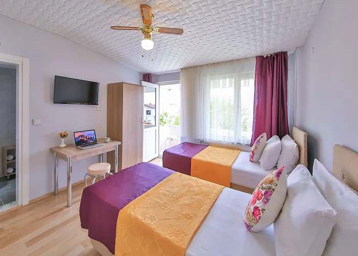 Palmada فندق مبيت وإفطار ساكاريا